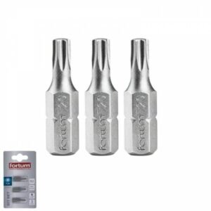 FORTUM Bity Torx TX 20x25mm 3ks, S2