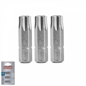 FORTUM Bity Torx TX 40x25mm 3ks, S2