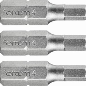 FORTUM Bity IMBUS H4.0x25mm, 3ks, S2