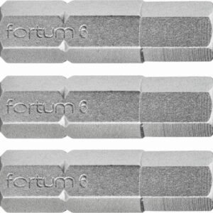 FORTUM Bity IMBUS H5.0x25mm, 3ks, S2
