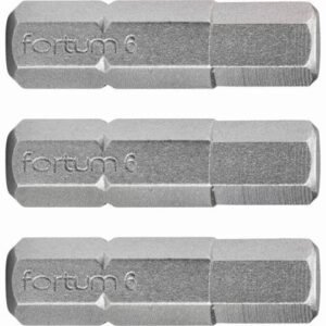 FORTUM Bity IMBUS H6.0x25mm, 3ks, S2